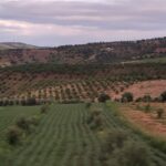 IMG_20260506_185624