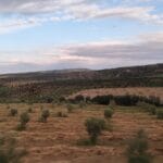 IMG_20260506_185628