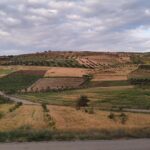 IMG_20260506_191942