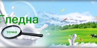 Парадоксът на млечния рафт: Защо фермерът фалира, а потребителят плаща скъпо?