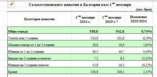 България/ Брой говеда и биволи към 1 ноември 2025 г