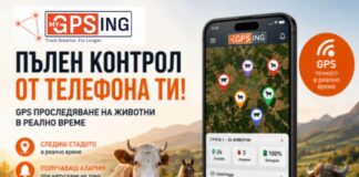 MyGPSing/Мъгла, дъжд, мокри баири… А стадото къде е?