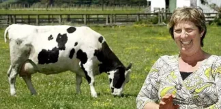 Крава №569 – героинята без име, която помогна да бъде спасен човешки живот