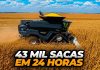 Нов световен рекорд: 2599 тона царевично зърно, ожънато за 24 часа с Fendt Ideal 9T