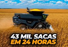 Нов световен рекорд: 2599 тона царевично зърно, ожънато за 24 часа с Fendt Ideal 9T