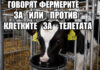Защо фермерите защитават индивидуалното отглеждане на телетата