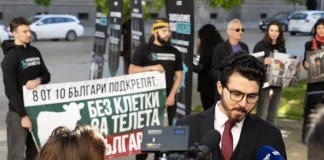 Сдружение „Невидими животни“/ Две седмици в клетка: младите хора, които отказаха телето да бъде невидимо