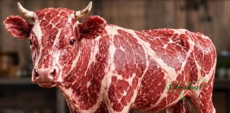 ЕС вече затегна правилата за внос на животински продукти от Бразилия