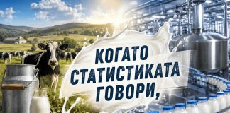 Мандрите са приели 428 730 хиляди литра мляко до юли`26 година, като кравето държи 95% от преработката