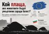 4 част/ Кой плаща, ако животните бъдат умъртвени заради болест? Как работи системата в ЕС и България