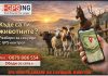 MyGPSing – Животното напусна пасището? Ти ще разбереш веднага