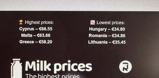 Огромна разлика в цената на млякото в ЕС: от 34,80 до 66,55 евро за 100 килограма