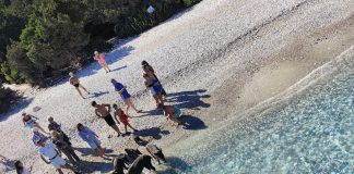 Прасетата на гръцкия остров Атокос: ядът, плуват и не знаят какво е субсидия